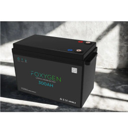 FOXYGEN - 300Ah Lithium Battery with Bluetooth & Heating Standard